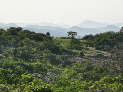 a hillside with trees and mountains in the distance at Hardy-da Forest Cottage in White River