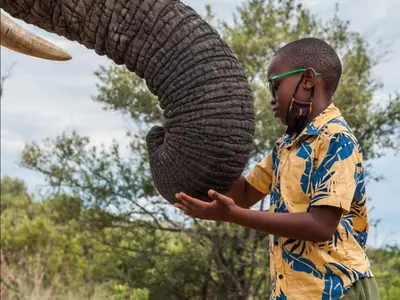 a boy holding the trunk of an elephant at Mokaikai - Elephants Crossing - Moi Exclusive Luxury Villa in Mabula
