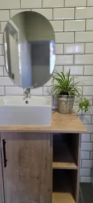 a bathroom sink with a mirror and a potted plant at Lazél Apartments in Ermelo