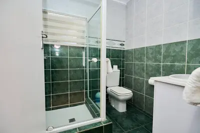 a bathroom with a shower and a toilet and a sink at Cozy Apartment close to Menlyn in Pretoria