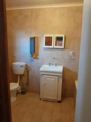 a bathroom with a toilet and a sink at Mantombi's Guest House in Graskop