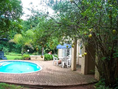 a backyard with a swimming pool and a table and umbrella at Luilekker Chalets in Waterval-Onder