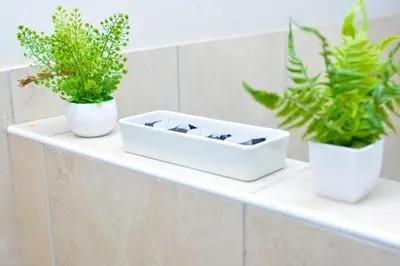 two potted plants sitting on a shelf in a bathroom at Home for Us Self catering in Duvhapark