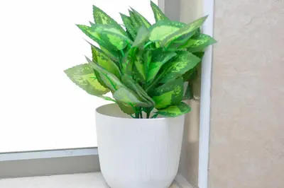 a plant in a white vase sitting on a window sill at Home for Us Self catering in Duvhapark