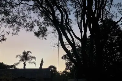 a silhouette of a tree and a building and a palm tree at Nel's Studio in Benoni