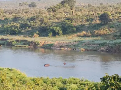 an elephant in the water in a river at Simbini Sunset Cottage in Malelane