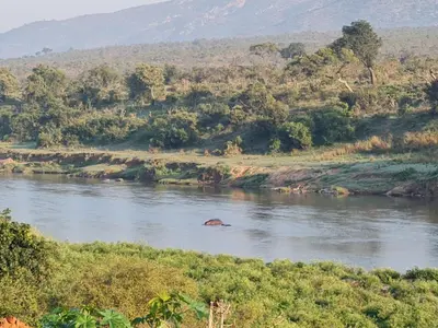 an elephant in the middle of a river at Simbini Sunset Cottage in Malelane