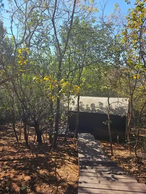 a bench sitting on a wooden path in the woods at Whispering Creek Mountain Lodge in Magoebaskloof
