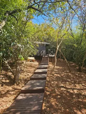 a wooden walkway in the middle of a forest at Whispering Creek Mountain Lodge in Magoebaskloof