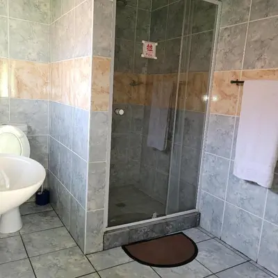 a bathroom with a shower with a sink and a toilet at Delapaix Guest lodge in Kempton Park