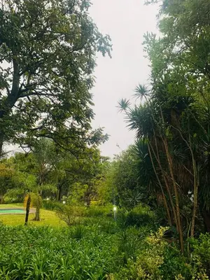 a park with trees and grass and a pond at Busa House Self-Catering Guest House in White River