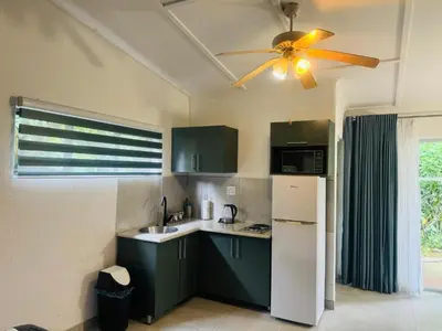 a kitchen with green cabinets and a ceiling fan at Busa House Self-Catering Guest House in White River