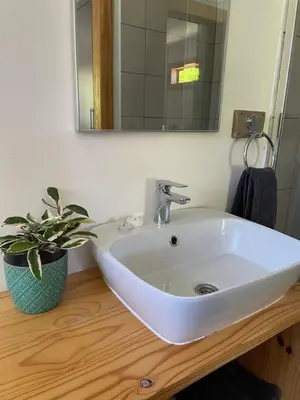 a bathroom sink with a potted plant and a mirror at Idlewood Unit 1 in Dullstroom