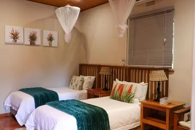 a bedroom with two beds and a window at A Traveller's Palm in Phalaborwa