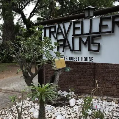 A Traveller's Palm