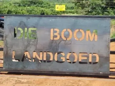 a sign for a dog room with a elephant on it at Die Boom Guest Farm in Boerboomskraal