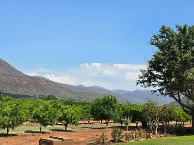a bench sitting in a field with trees and mountains at Die Boom Guest Farm in Boerboomskraal