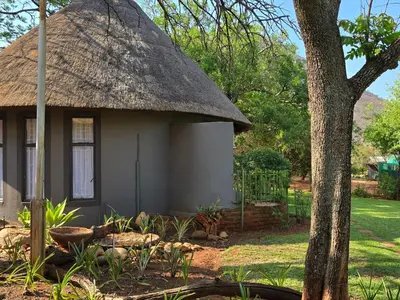 a small house with a thatched roof and a tree at Die Boom Guest Farm in Boerboomskraal