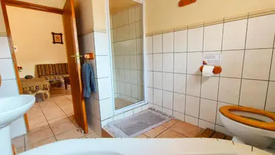 a bathroom with a toilet and a shower at Modubu Lodge in Bela-Bela
