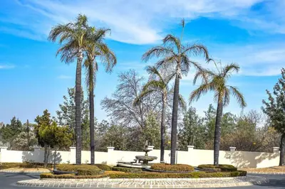 a group of palm trees in a park at Euoren Living in Midrand
