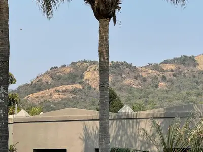 a palm tree in front of a building with a mountain at Mountain Dew Guest House in Noordkaap