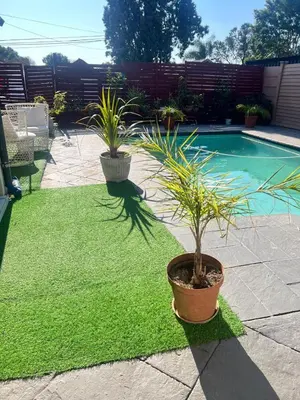 two potted plants sitting next to a swimming pool at 17 Byvanger Luxury Home Deluxe King Suite Room 3 in Centurion
