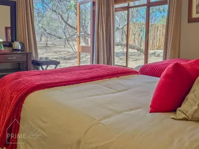 a bedroom with a bed with red pillows and a window at Rhino Lodge at Zebula in Mabula