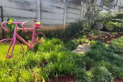 a pink bike in the grass in a garden at Bergsig Self-Catering Accommodation - Sabie in Sabie