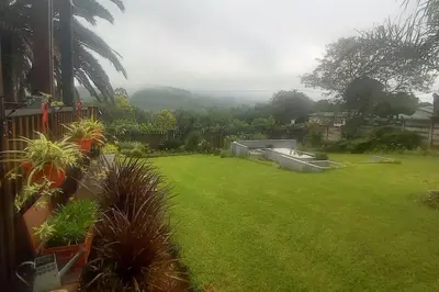 a yard with a green lawn with palm trees at Bergsig Self-Catering Accommodation - Sabie in Sabie