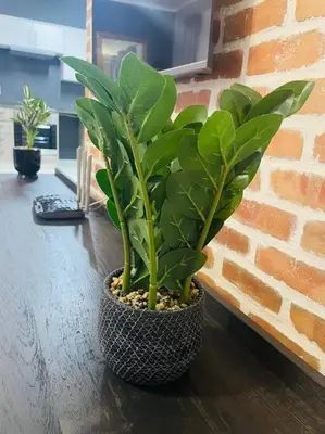 a plant sitting on a table next to a brick wall at Apparent Self Catering in Boschrand