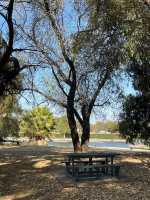 a picnic table under a tree in a park at Hartbeespoort Dam Getaway Home in Kosmos