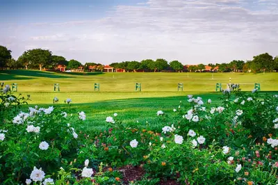 a field of flowers in the middle of a field at Pecanwood Holiday Home in Kosmos