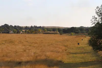 a large field with animals in the middle of it at Kings 93 Cabins in Tierpoort