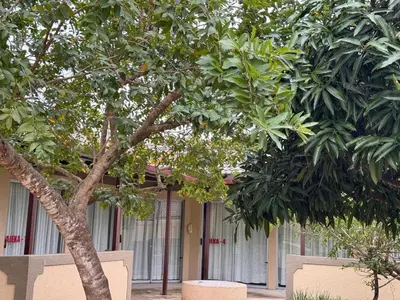 two trees in front of a building at Soaring Summit Lodge in Ronaldsey
