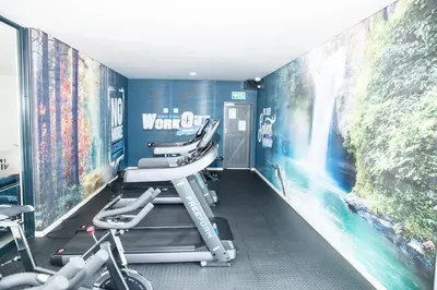 a gym with a waterfall mural on the wall at Eirini Elegant - Hermes Apartment in Midrand