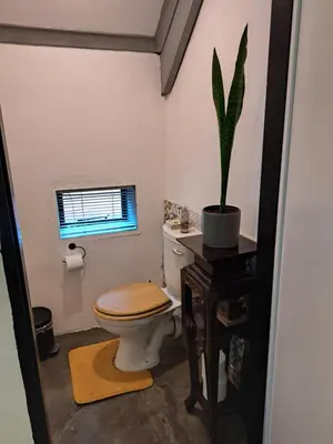 a bathroom with a toilet and a plant on a table at Casa Mana Air B&B in Pretoria