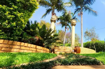 a garden with two palm trees and a retaining wall at Harmony Suite in Pretoria