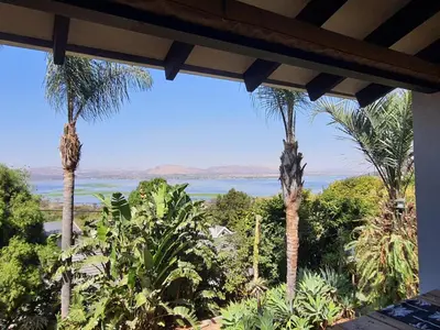 a view of the ocean from a house with palm trees at Fever Tree View in Hartbeespoort