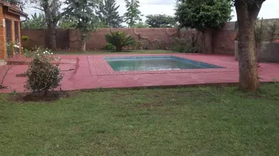a swimming pool in a yard with a tree at Steenbok Guesthouse in Steenbok