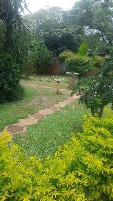 a garden with a stone path in the middle of a yard at Sol & Sombra Guesthouse in Komatipoort