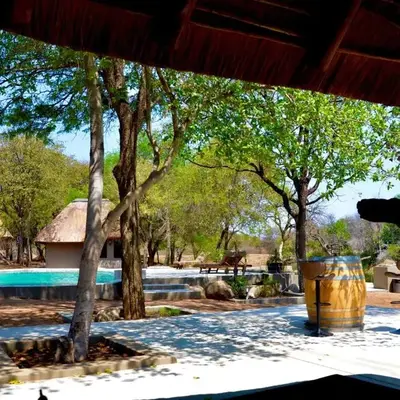 Timbila Game Lodge - Welcome to Land of Leopards and Buffalo