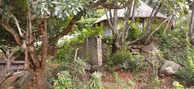 a house on the side of a hill with trees at Risima Guest Lodge Hazyview in Numbi