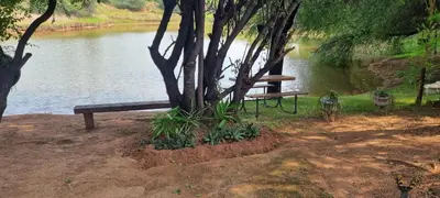 a park bench sitting next to a tree next to a lake at Die Windpomp Bosveld in Lephalale