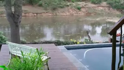 a swimming pool next to a body of water at Hennie's Rest in Malelane