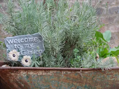 a potted plant with a welcome to my garden sign at Hennie's Rest in Malelane