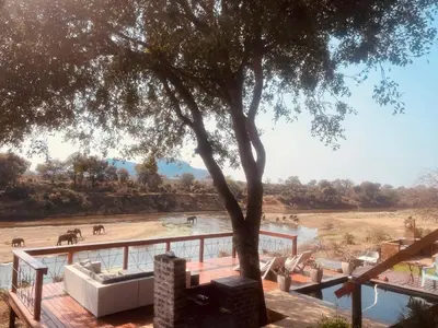 a viewing deck with a tree and elephants in the distance at Hennie's Rest in Malelane