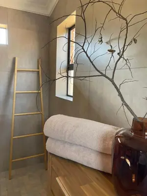 a room with a stair case and a vase with a tree at Vrede Luxury Tented Camp in Kosmos