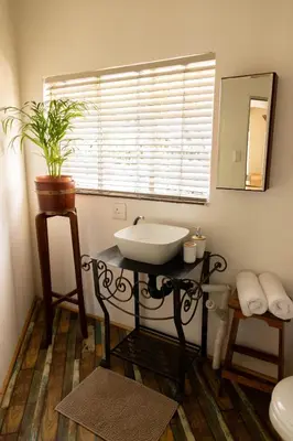 a bathroom with a sink and a potted plant at Camellia Luxury Apartment in Pretoria