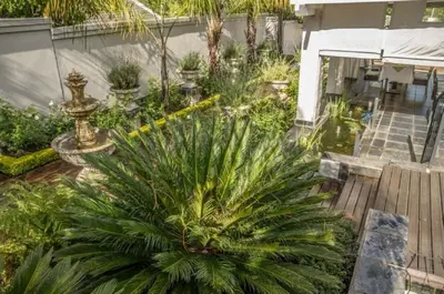 a garden with a palm tree in the middle at Touch of Class Guest House in Pretoria