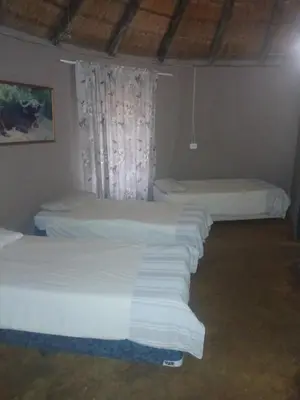 a group of four beds in a room at Mbaula lodge in Letaba Wildlife Reserve